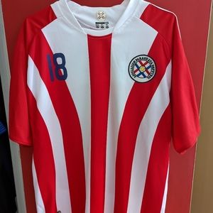Paraguay soccer jersey